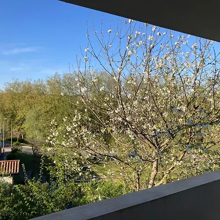 Chambres Chez L'Habitant - Les Jardins Du Bil Toki *