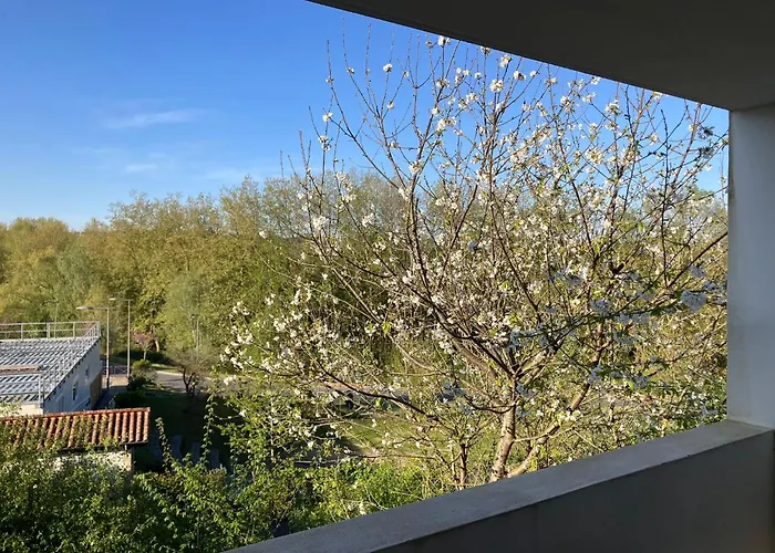 Chambres Chez L'Habitant - Les Jardins Du Bil Toki *